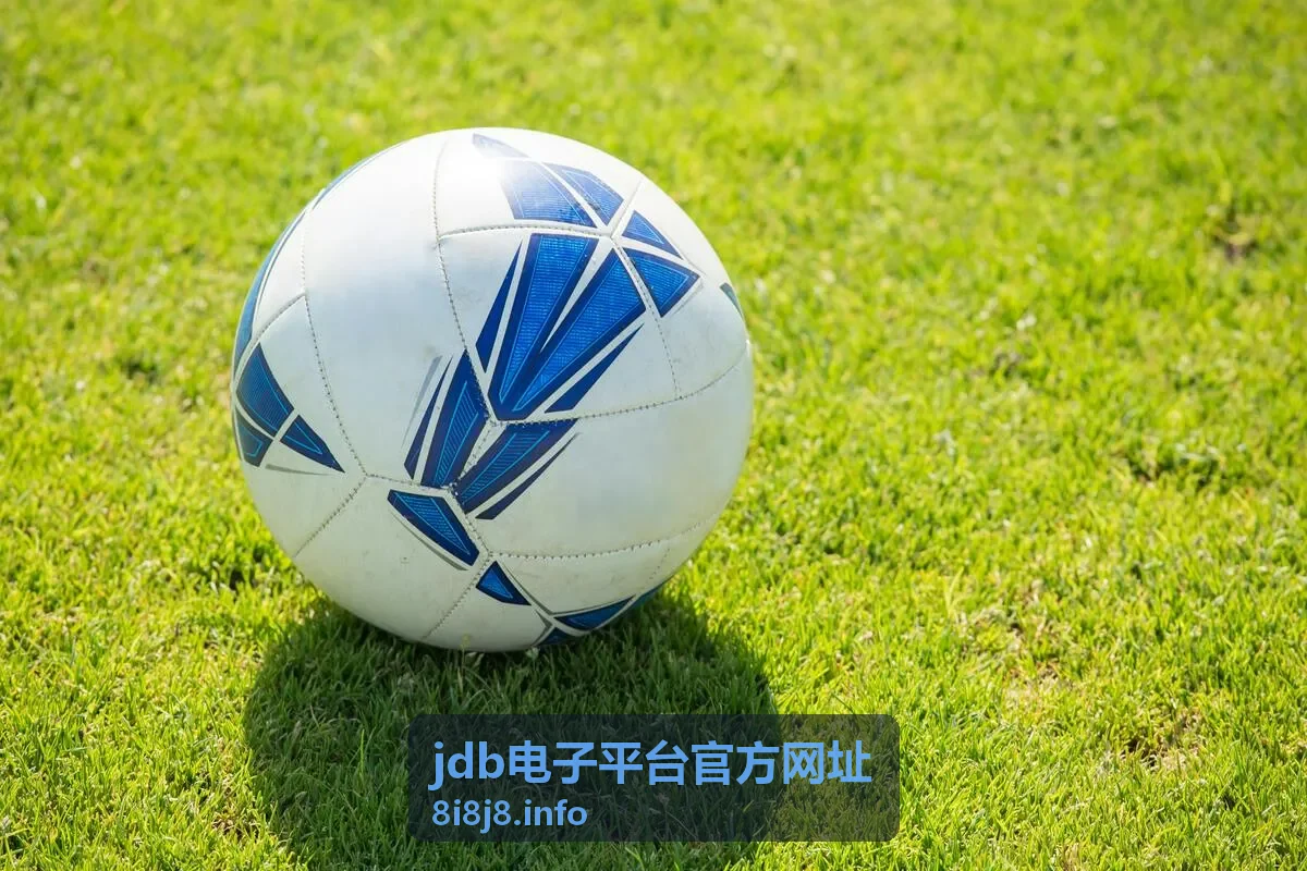 jdb电子平台官方网址平台入口封面